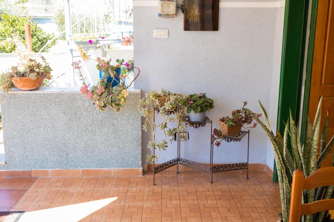 Vila Aulona Vlore Ngoại thất bức ảnh