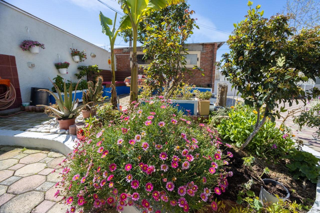 Vila Aulona Vlore Ngoại thất bức ảnh
